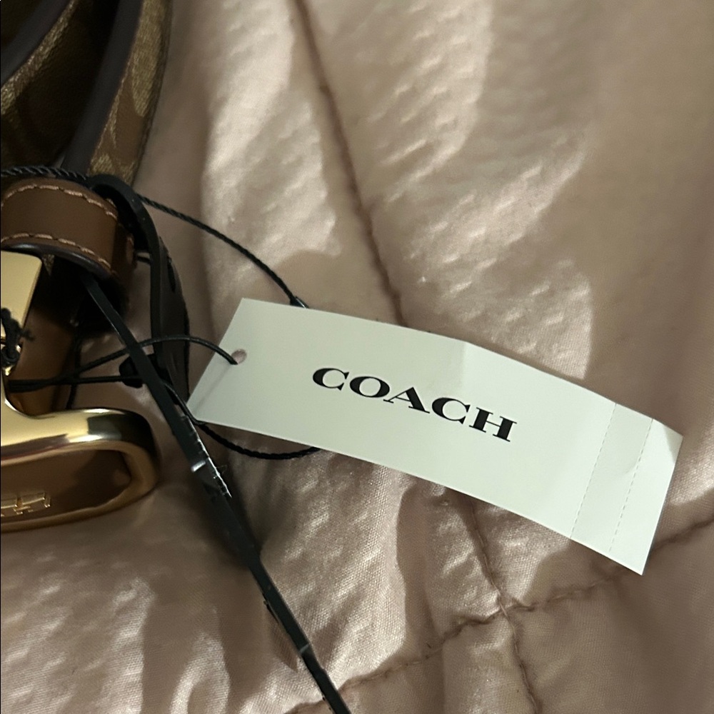 Cut to Size Coach Morgan Reversible Signature Belt - Picture 7 of 10